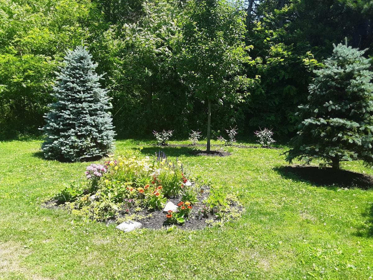 The Fields Of Eden Inn Kültér fotó
